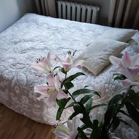 Stylish Near To Citycenter And Parnu